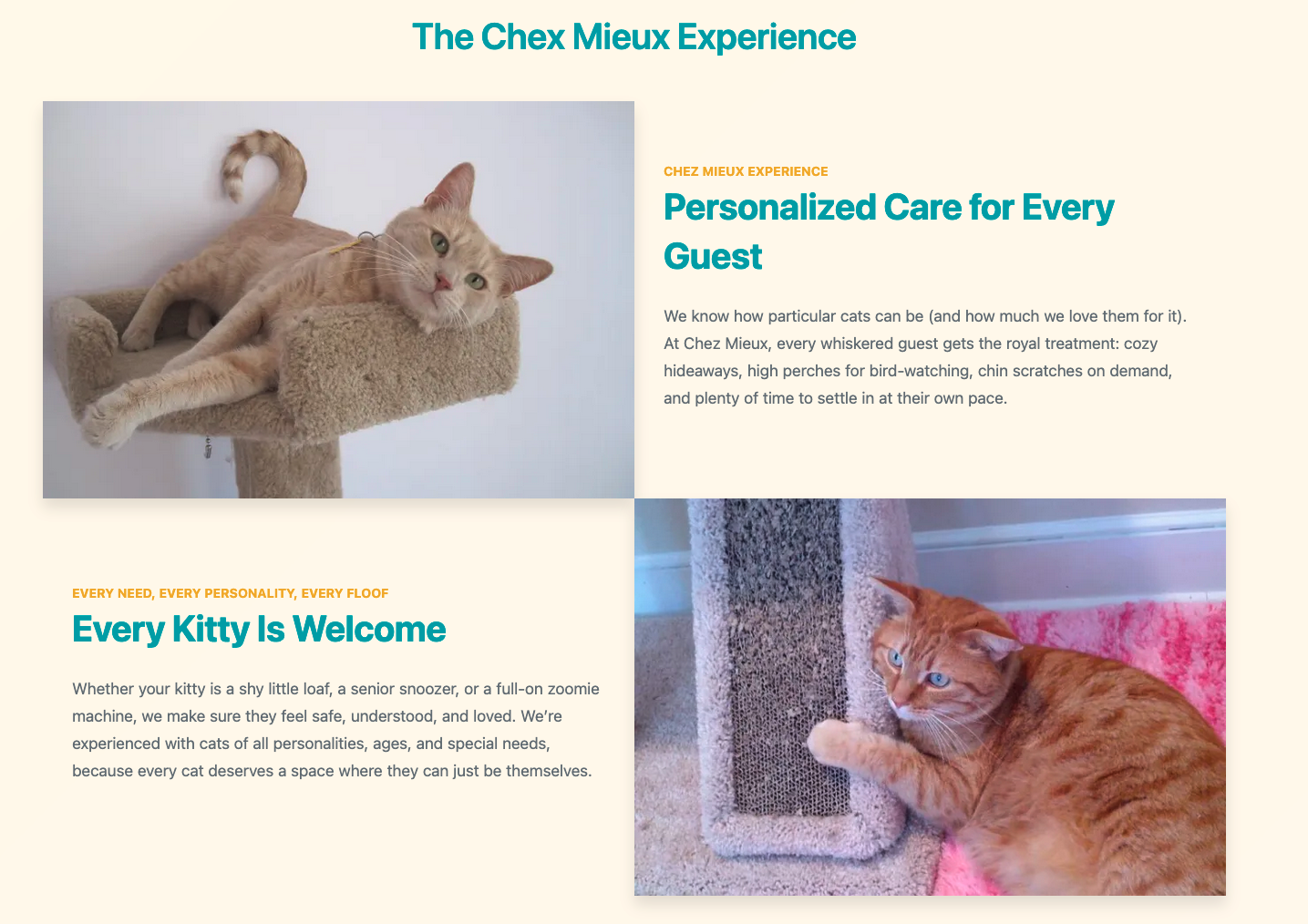 The Chex Mieux Experience 
