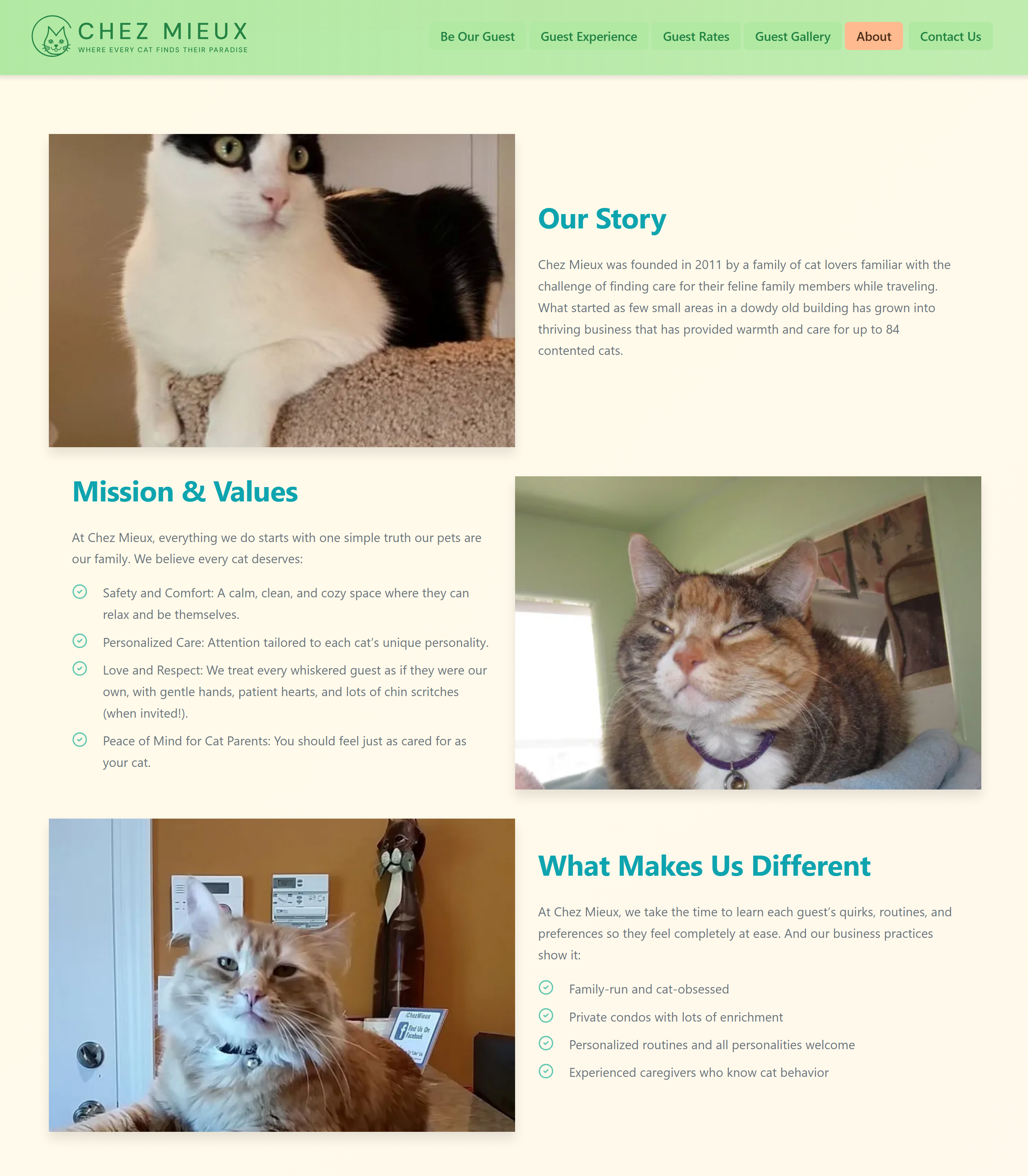 About Chez Mieux Cat Kennel _ Family-Owned Cat Boarding in Natick, MA