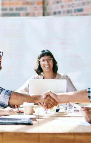 Entrepreneurs collaborating